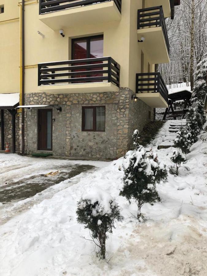 Apartament Nicolle Appartement Poiana Brasov Buitenkant foto
